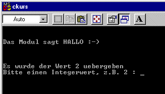 Screenshot des ausgeführten Programms